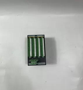 BACHMANN PCC200 BACHMANN Input module