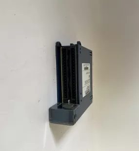 IC694MDL655 GE FANUK