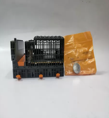 X67CA0P00.0100 B&R