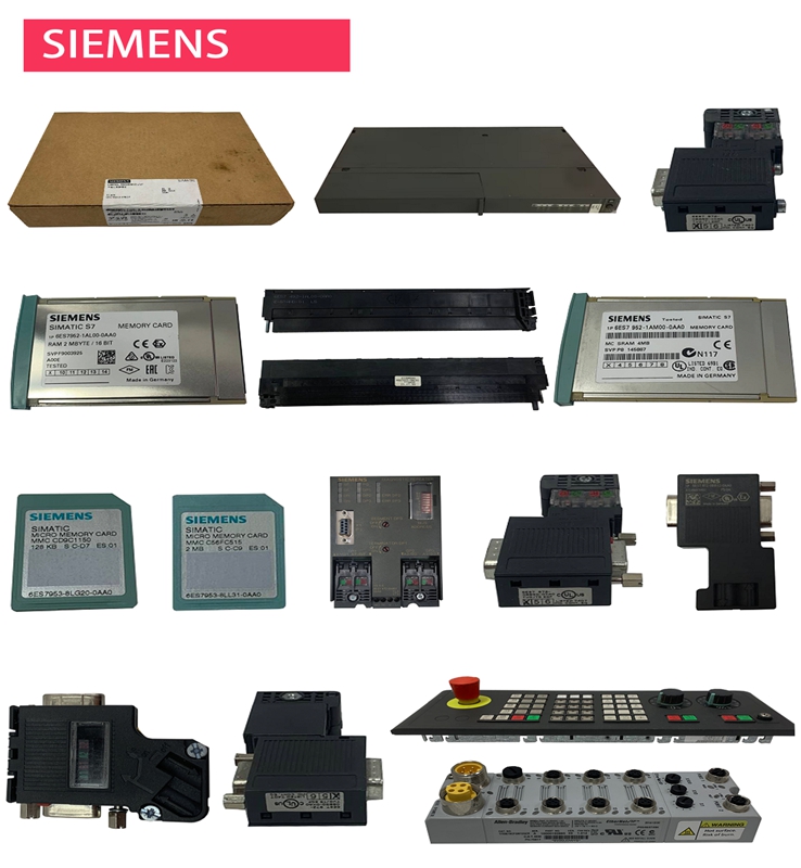 BORA150/S30824-Q80-X100-7/W30824-Q80-C8 SIEMENS