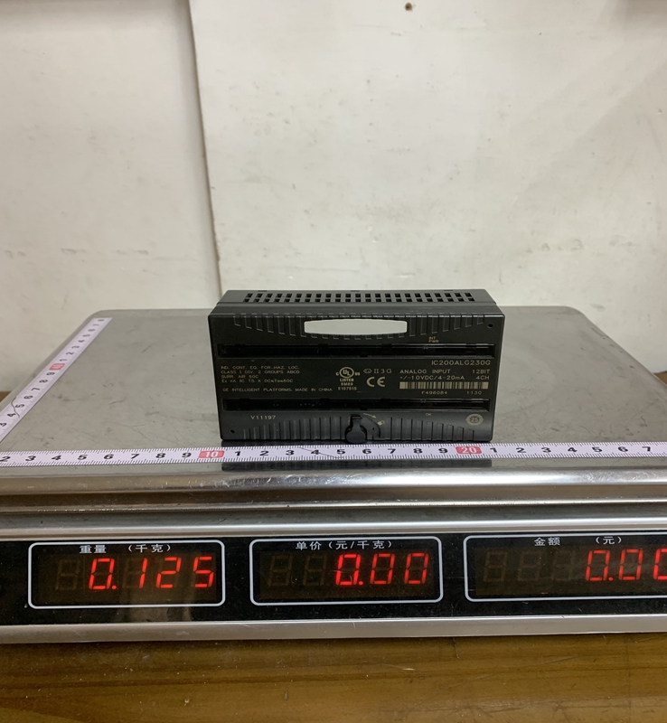 IC200ALG230F GE FANUK