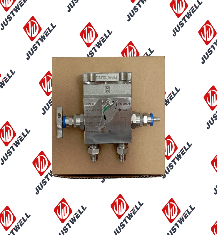 C13ST-3TSA0-S4-NNNNN-NNNN YOKOGAWA